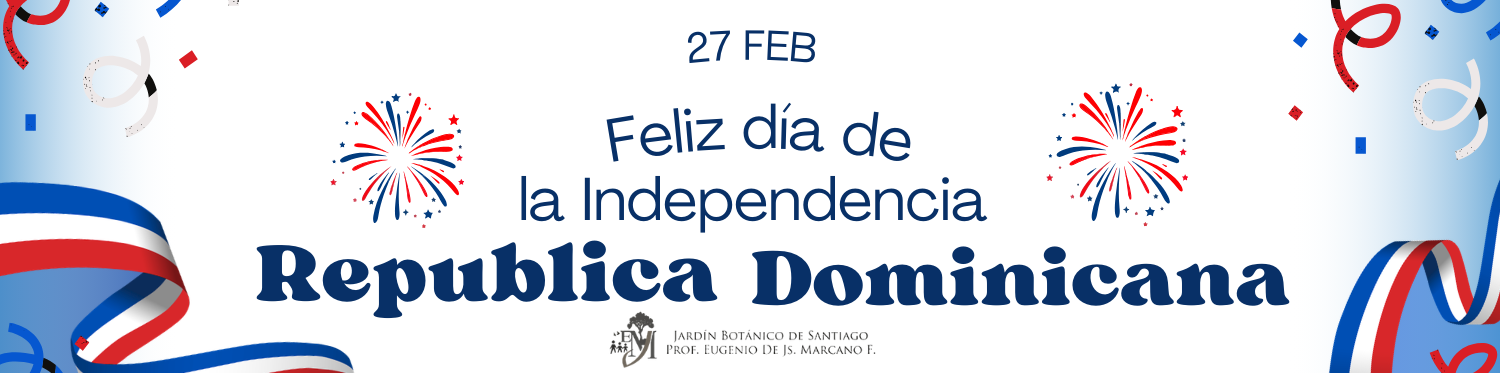 Grey Minimalist Linkedin Banner (2)